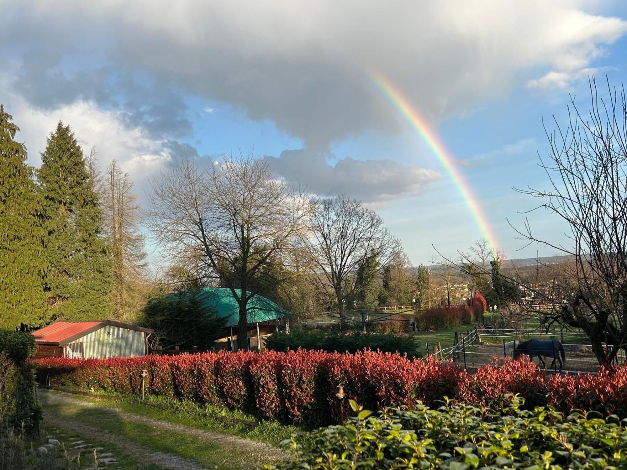 Bilocale In The Farm- Malpensa-Lago Maggiore Варалло-Помбия Экстерьер фото
